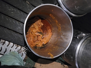 곰팡이 득실득실한 공장서 만든 '김치찌개'…식당에 1억 원어치 팔렸다