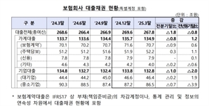 홈플러스발 부실 여파…보험사 대기업 부실채권 비율 0.77%