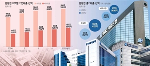 “지방 대출 늘려라”…민주당 요구에 국책銀 좌불안석