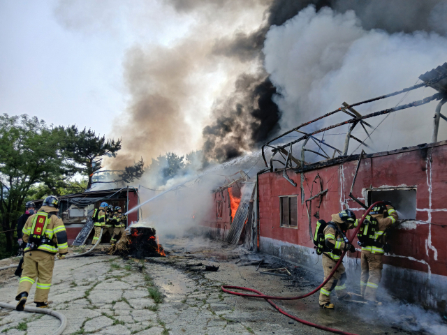 28일 오전 8시 54분께 부산 사하구 구평동의 산에 있는 농장 건물에서 불이 나 소방당국인 진화 작업을 하고 있다. 사진제공=부산소방재난본부