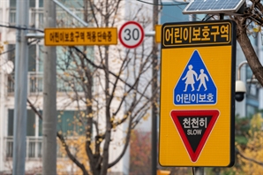 초등생 치고 엄마 내세워 ‘운전자 바꿔치기’…무보험 20대의 대담한 꼼수