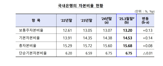 자료 제공=금융감독원