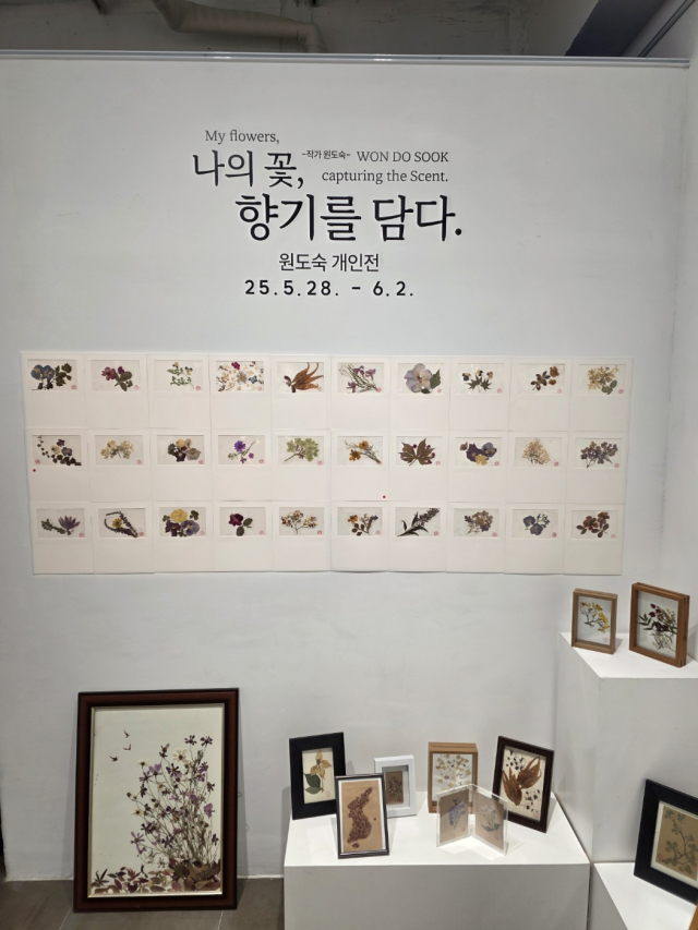 원도숙 작가의 개인전이 열리고 있는 전시장의 모습. 본인 제공