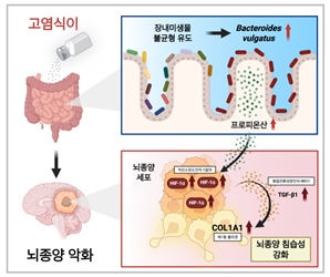 KAIST “짠 음식 많이 먹으면 뇌종양 악화”