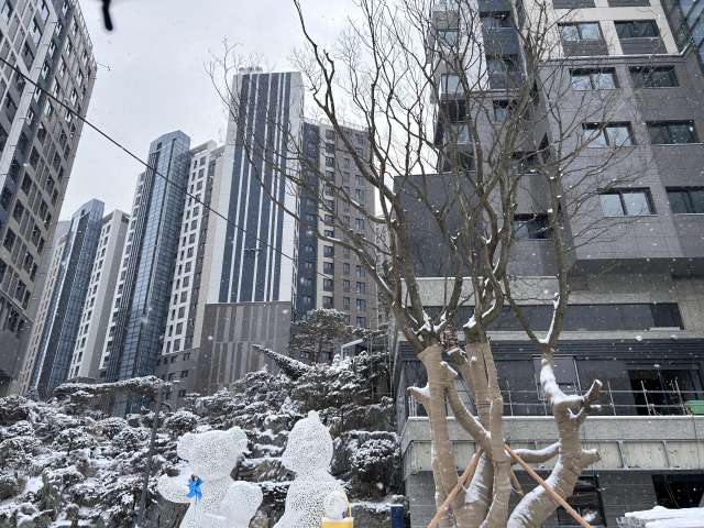 [단독]"전 남편 세금까지 내라네요" 입주권 취득세 논란, 행정소송 번졌다