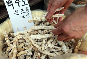 "8만원이 8000원 됐다"…'가짜 백수오' 발표에 주가 폭락한 주주들 결국