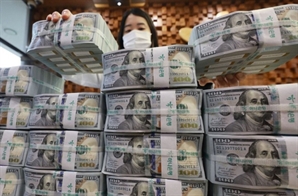 5월 외환보유액  소폭 감소…4000억 달러선은 유지
