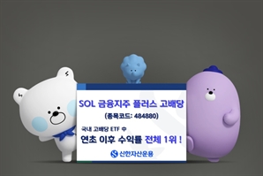 상법 개정 기대감…'SOL 금융지주플러스고배당' 국내 고배당 ETF 중 연초 이후 수익률 1위