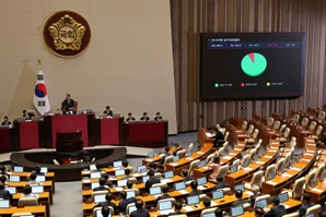 '내란·김건희·채상병 특검법' 與 주도로 본회의 통과…검사징계법 개정안도