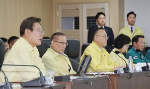 기사제목