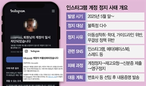 인스타 계정 무차별 정지…자영업자·1인 기업 '날벼락'