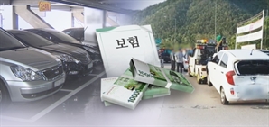 예산없는 지원 확대… 반쪽짜리 車손해배상법안 발의