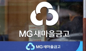 새마을금고, 상반기내 부실채권 2조 정리