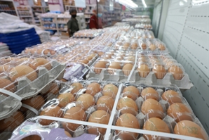 "커피값 너무 비싸요" 카공족 다 어디로 갔나 보니…金계란에 자영업자도 '한숨'