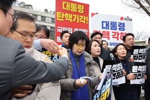 백혜련 의원에 계란 던진 尹 지지자들 검찰에 넘겨져