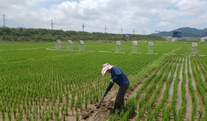 전남도, 저탄소 농산물 인증 신청·접수