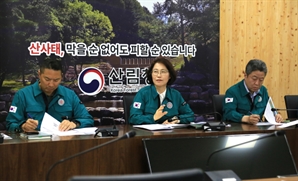 이미라 산림청 차장, 장마 대비 산사태 예방·대응 점검 회의 주재