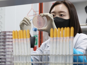 '풀무원 빵' 집단식중독, 충북 이어 세종·부안까지… 208명 확인