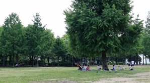 "라이터로 서울숲을"…방화하고 달아난 러시아 관광객 검거