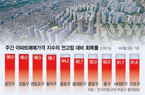 '강남 진입' 막히자…마포·양천도 전고점 경신
