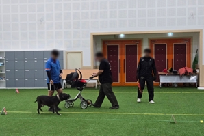 경기도, 올해 첫 '맹견 기질평가' 시행…공격성 등 평가