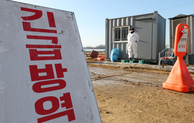 지난해 12월 고병원성 조류인플루엔자(AI)가 발생한 경기 화성시 팔탄면의 한 농장. 뉴스1