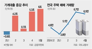 “다주택자·대출 급증지역 관리하라”