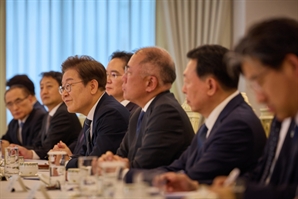 기사제목