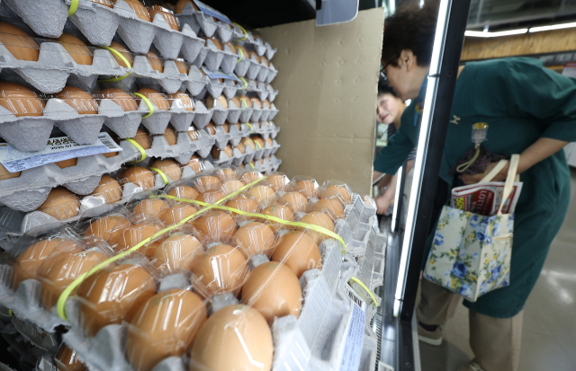 12일 서울 동대문구 롯데마트 청량리점에서 시민들이 계란을 고르고 있다. 이날 롯데마트는 계란 한 판을 4990원에 파는 특가 행사를 진행했다. 연합뉴스.