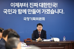 "정부조직 개편은 별도 TF 가동…집중된 권한 재배치"