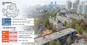 영등포·구로 등 서울 서남권 천지개벽…준공업 지역 ‘용적률 400%’ 훈풍