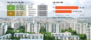 “이러다 서울 아파트 못 살라” 강남 아닌 구축 단지도 신고가[집슐랭]