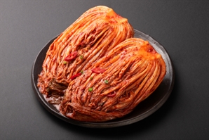 '한국 전통 음식' 김치, 과학으로 맛 지킨다