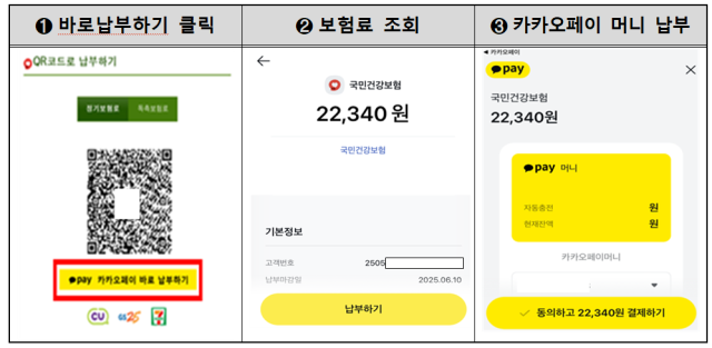 카카오페이를 통한 납부화면 예시. 사진 제공=국민건강보험공단