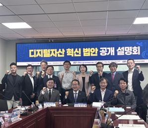 與, 내달 ‘디지털자산혁신법’ 발의…가상자산 제도화 속도