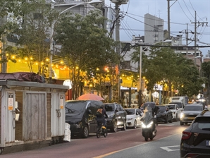 서울시, 생활불쾌곤충 ‘화학 약품 없는’ 방제 전략 추진