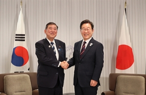 저성장 탈출구…與 '한일 FTA' 추진