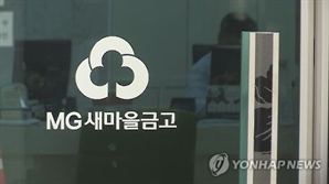 자산 8000억 이상 새마을금고, 상근감사 선임 의무화…"건전성 확보"