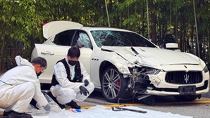 "제 여자친구는 죽었나요?"…20대 연인 친 '마세라티 뺑소니범' 정체 알고보니