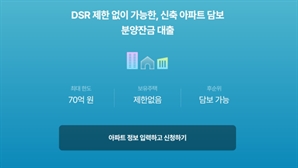 "집 두 채 있어도 70억 대출 된다길래 봤죠" [S머니-플러스]