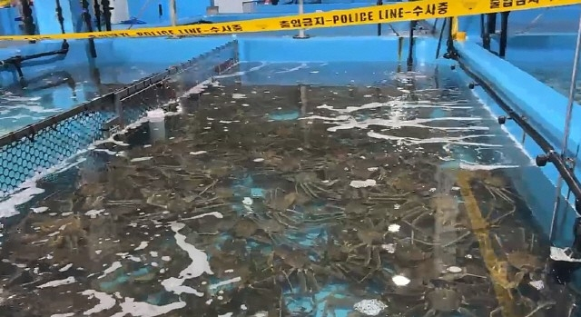 사진 제공=동해경찰서