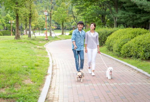이미지투데이
