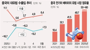 과잉생산 논란에도 "값싼 중국산 필요"…EU '딜레마'