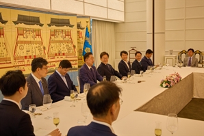 李대통령, 與 원내지도부 만나 "의회외교 적극적 역할 필요"
