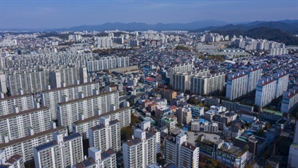 "주말부부라고요"…남편 직장 동네에 청약 넣었다 감옥 가게 된 50대女, 왜?