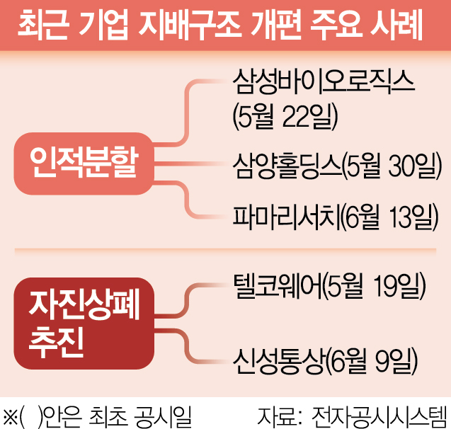 '상법 개정땐 더 힘들어질 것' 두달새 상장사 4곳 인적분할