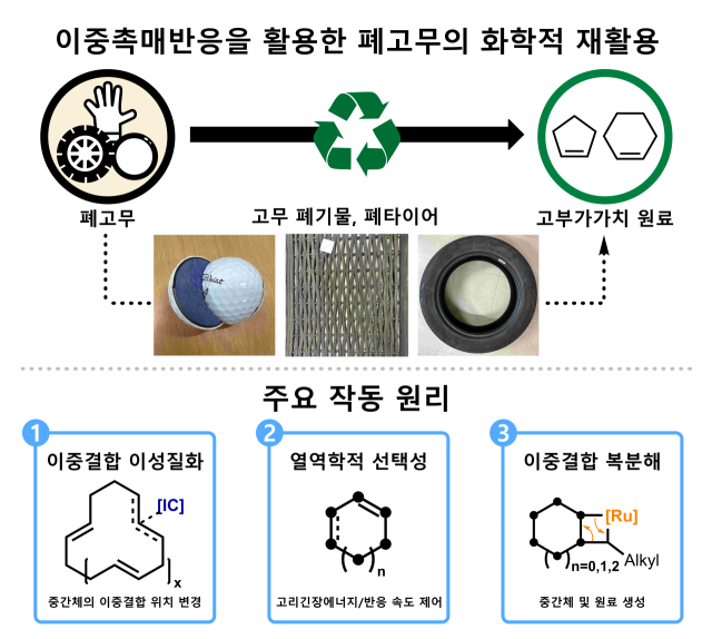 폐타이어 재활용 기술. 사진 제공=KAIST