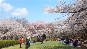 서대문구, 안산 잔디마당 공공예식장으로 개방