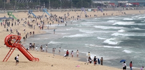 “해운대 놀러가기로 했는데 어쩌지”…이틀새 2명 ‘이것’에 쏘였는데 차단망은 아직
