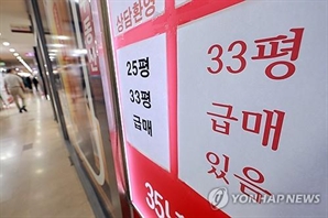 초강력 대출 규제에…매수 문의 끊긴 부동산 시장[집슐랭]